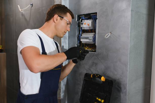 Best Electrical System Inspection  in Welsh, LA